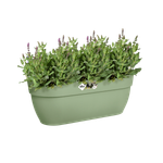 vibia campana easy hanger large pistache green